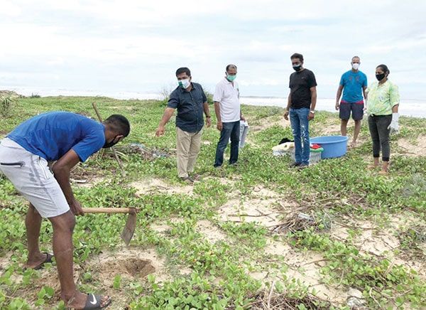 Locals go green on Environment Day