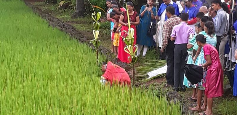 Cutting of the first sheaves