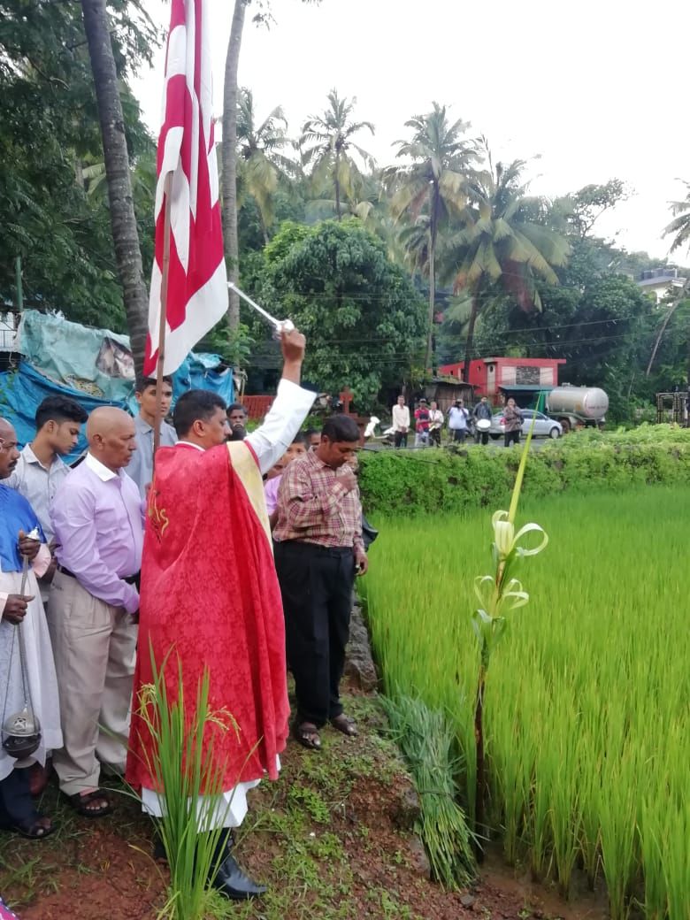 Blessing of the paddy crop