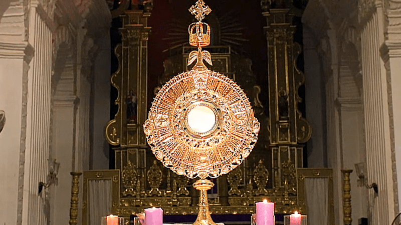 The Blessed Sacrament exposed